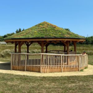 I had a very enjoyable meeting today back at Easebourne playpark. I couldn’t resist a peak at the newly established Sedum roof so happy to see it was buzzing with bees.