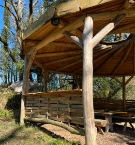 Revisited a community project this week to lower a woven screen. Spent some time wandering through and looking at how nature is creeping in and helping blend our additions into the landscape.
